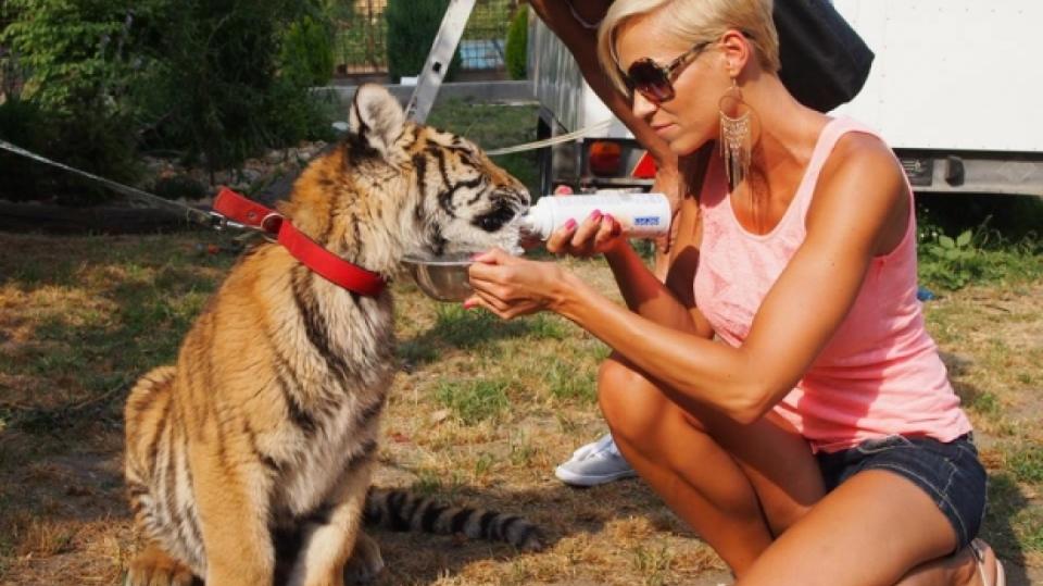 Hanka Mašlíková s tygrem
